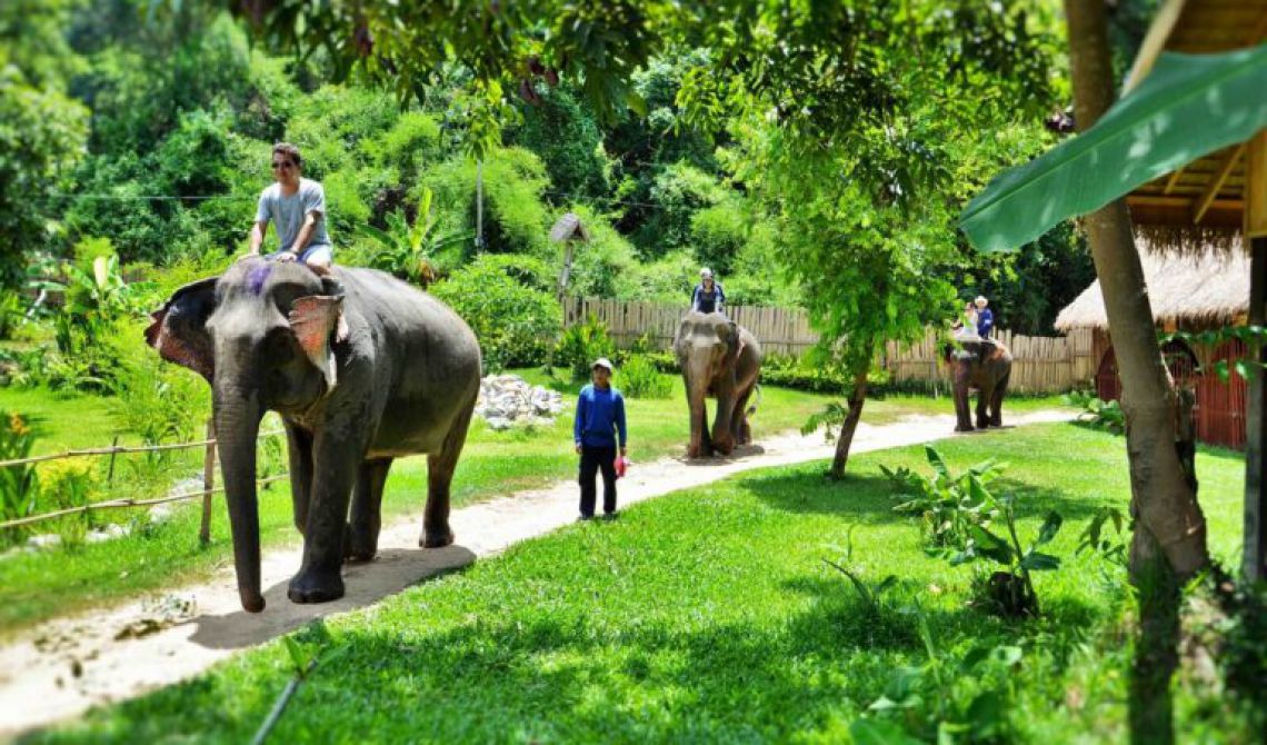 Travelers experience to ride elephants in Laos